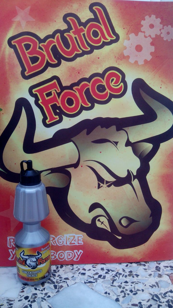 logo brutal force